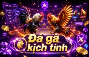 Đá Gà live 22vipvin Đá Gà live 22vipvin